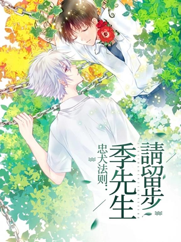 忠犬法则：季先生，请留步